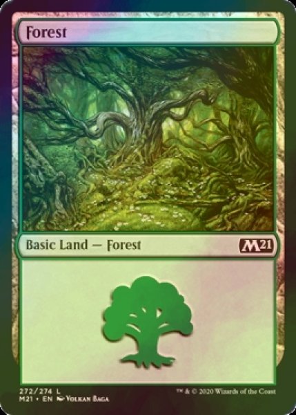 画像1: [FOIL] 森/Forest No.272 【英語版】 [M21-土地C] (1)