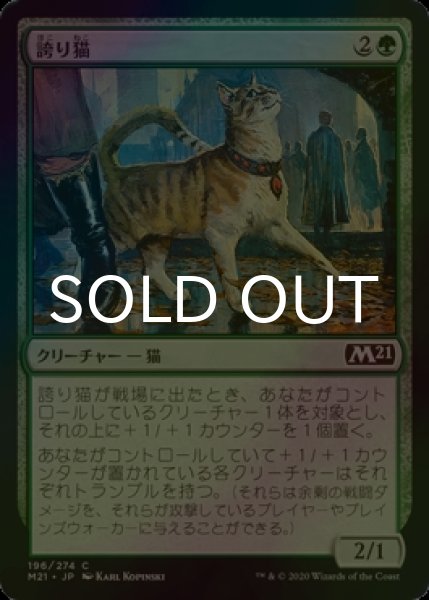 画像1: [FOIL] 誇り猫/Pridemalkin 【日本語版】 [M21-緑C] (1)