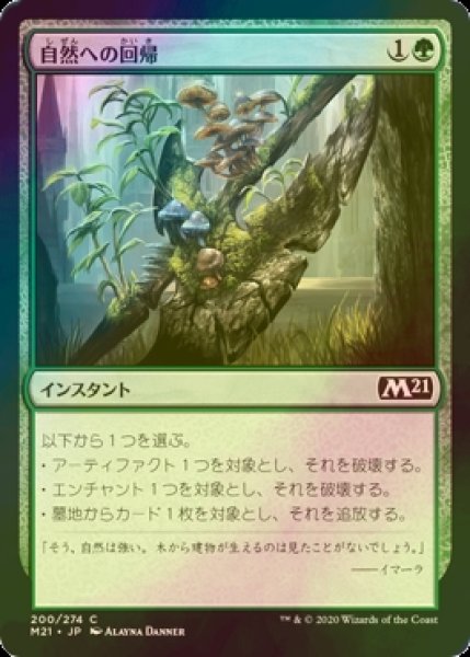 画像1: [FOIL] 自然への回帰/Return to Nature 【日本語版】 [M21-緑C] (1)