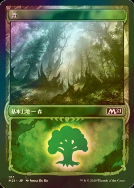 画像1: [FOIL] 森/Forest (ショーケース版) No.313 【日本語版】 [M21-土地C] (1)