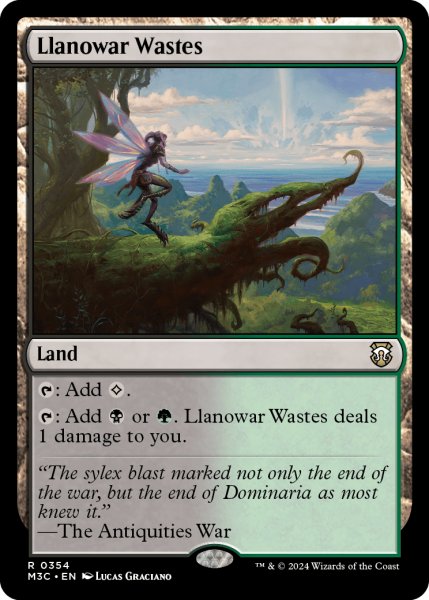 画像1: ラノワールの荒原/Llanowar Wastes 【英語版】 [M3C-土地R] (1)