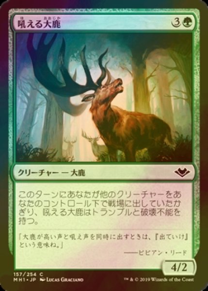 画像1: [FOIL] 吼える大鹿/Bellowing Elk 【日本語版】 [MH1-緑C] (1)