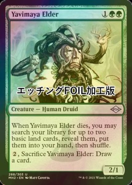 画像1: [FOIL] ヤヴィマヤの古老/Yavimaya Elder (エッチング仕様) 【英語版】 [MH2-緑U] (1)