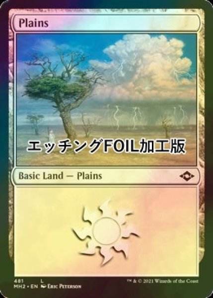 画像1: [FOIL] 平地/Plains No.481 (エッチング仕様) 【英語版】 [MH2-土地C] (1)