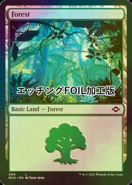 画像1: [FOIL] 森/Forest No.490 (エッチング仕様) 【英語版】 [MH2-土地C] (1)