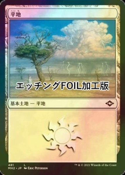 画像1: [FOIL] 平地/Plains No.481 (エッチング仕様) 【日本語版】 [MH2-土地C] (1)