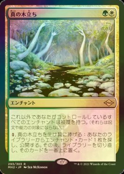 画像1: [FOIL] 真の木立ち/Sterling Grove 【日本語版】 [MH2-金R] (1)