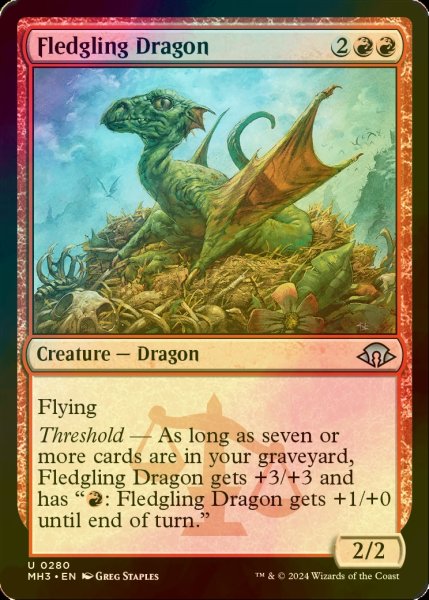 画像1: [FOIL] 巣立つドラゴン/Fledgling Dragon 【英語版】 [MH3-赤U] (1)