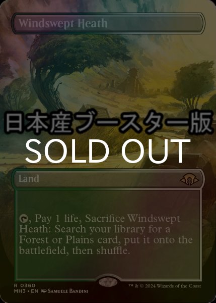 画像1: [FOIL] 吹きさらしの荒野/Windswept Heath ● (全面アート・日本産ブースター版) 【英語版】 [MH3-土地R] (1)