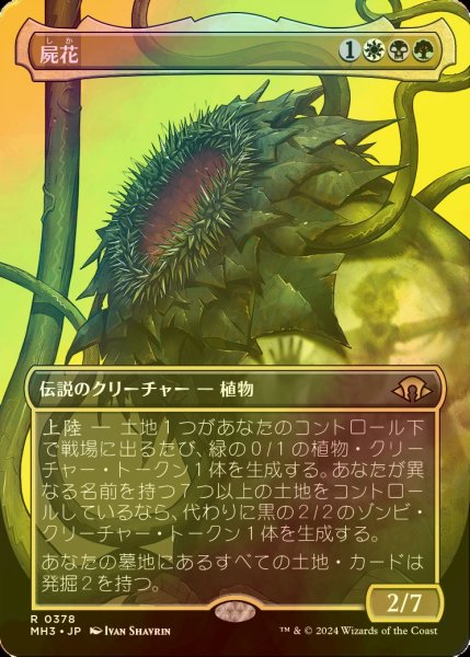 画像1: [FOIL] 屍花/The Necrobloom (全面アート・海外産ブースター版) 【日本語版】 [MH3-金R] (1)