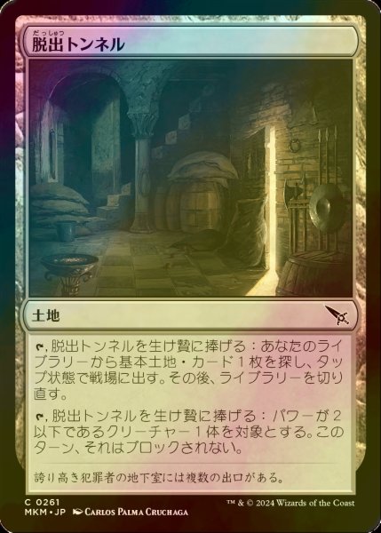 画像1: [FOIL] 脱出トンネル/Escape Tunnel 【日本語版】 [MKM-土地C] (1)