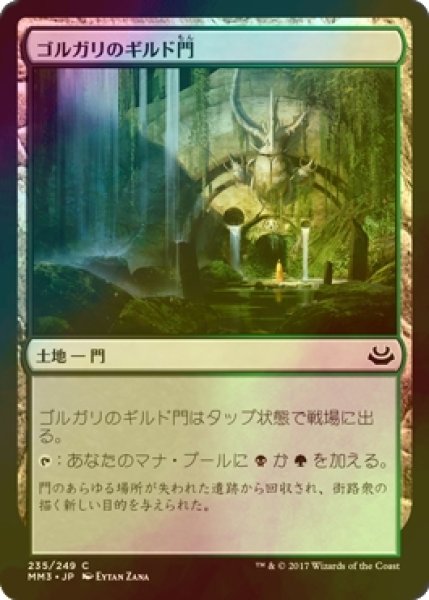 画像1: [FOIL] ゴルガリのギルド門/Golgari Guildgate 【日本語版】 [MM3-土地C] (1)