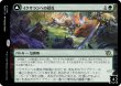 画像2: イクサランへの侵攻/Invasion of Ixalan 【日本語版】 [MOM-緑R] (2)