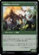 画像3: イクサランへの侵攻/Invasion of Ixalan 【日本語版】 [MOM-緑R] (3)