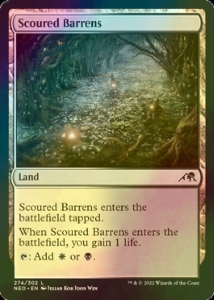 画像1: [FOIL] 磨かれたやせ地/Scoured Barrens 【英語版】 [NEO-土地C] (1)