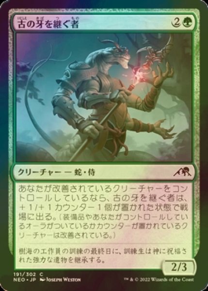 画像1: [FOIL] 古の牙を継ぐ者/Heir of the Ancient Fang 【日本語版】 [NEO-緑C] (1)