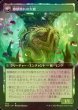 画像2: [FOIL] 麒麟の教え/Teachings of the Kirin (拡張アート版) 【日本語版】 [NEO-緑R] (2)