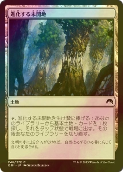 画像1: [FOIL] 進化する未開地/Evolving Wilds 【日本語版】 [ORI-土地C] (1)