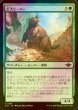 画像1: [FOIL] 巨大ビーバー/Giant Beaver 【日本語版】 [OTJ-緑C] *詳細要確認 (1)