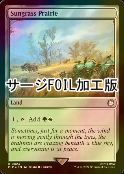 画像1: [FOIL] サングラスの大草原/Sungrass Prairie No.823 (サージ仕様) 【英語版】 [PIP-土地R] (1)