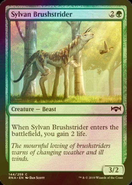 画像1: [FOIL] 森の刷毛履き/Sylvan Brushstrider 【英語版】 [RNA-緑C] (1)