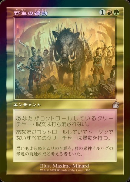 画像1: [FOIL] 野生の律動/Rhythm of the Wild (旧枠) 【日本語版】 [RVR-金U] (1)