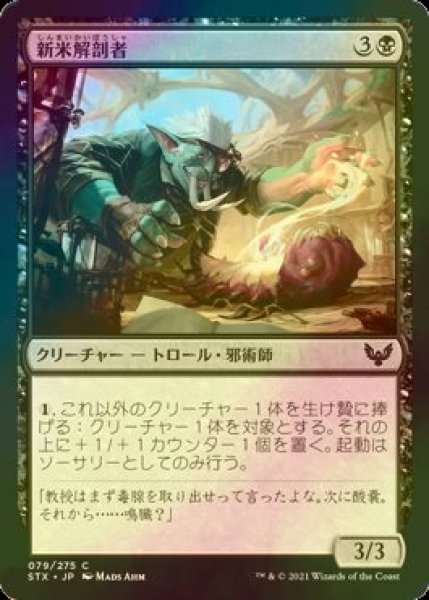 画像1: [FOIL] 新米解剖者/Novice Dissector 【日本語版】 [STX-黒C] (1)