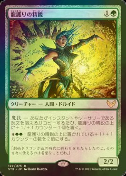 画像1: [FOIL] 龍護りの精鋭/Dragonsguard Elite 【日本語版】 [STX-緑R] (1)