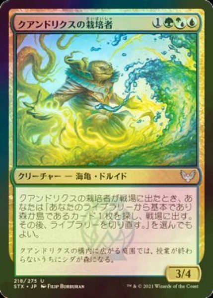 画像1: [FOIL] クアンドリクスの栽培者/Quandrix Cultivator 【日本語版】 [STX-金U] (1)