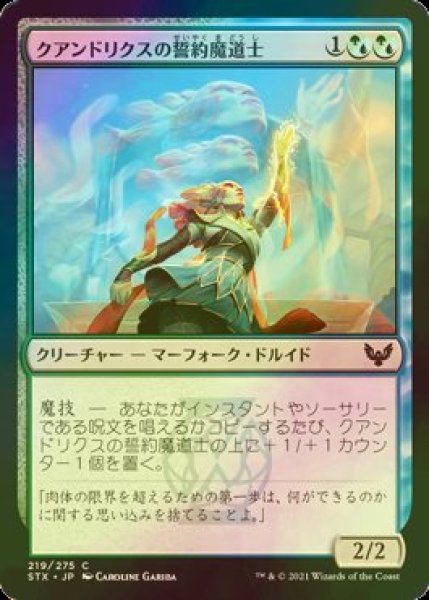 画像1: [FOIL] クアンドリクスの誓約魔道士/Quandrix Pledgemage 【日本語版】 [STX-金C] (1)