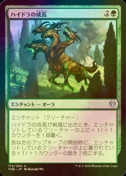 画像1: [FOIL] ハイドラの成長/Hydra's Growth 【日本語版】 [THB-緑U] (1)