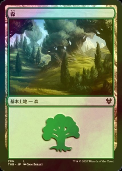 画像1: [FOIL] 森/Forest No.286 【日本語版】 [THB-土地C] (1)