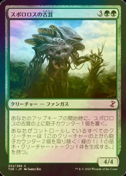 画像1: [FOIL] スポロロスの古茸/Sporoloth Ancient 【日本語版】 [TSR-緑C] (1)