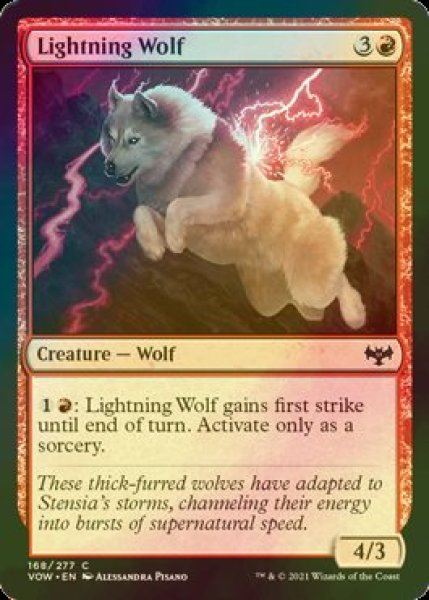 画像1: [FOIL] 稲妻狼/Lightning Wolf 【英語版】 [VOW-赤C] (1)