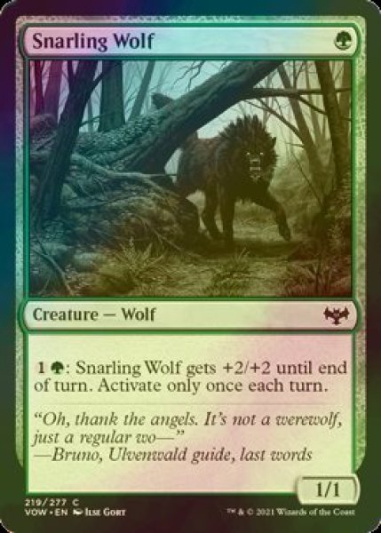 画像1: [FOIL] うなる狼/Snarling Wolf 【英語版】 [VOW-緑C] (1)