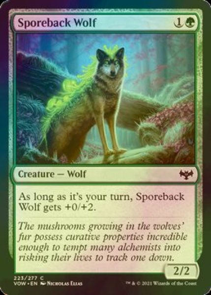 画像1: [FOIL] 胞子背の狼/Sporeback Wolf 【英語版】 [VOW-緑C] (1)