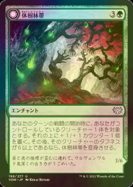 画像1: [FOIL] 休樹林帯/Dormant Grove 【日本語版】 [VOW-緑U] (1)