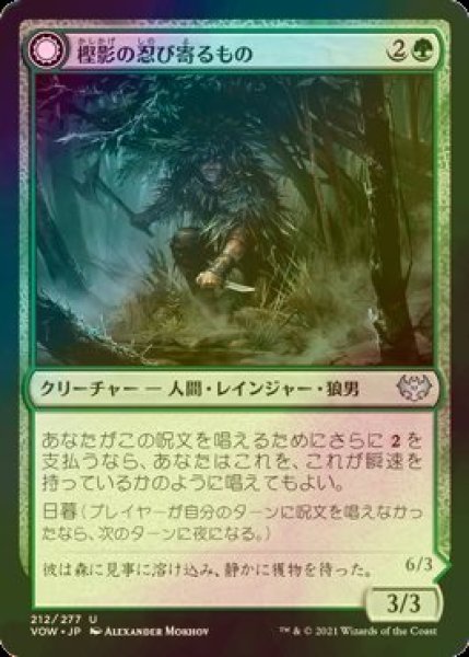 画像1: [FOIL] 樫影の忍び寄るもの/Oakshade Stalker 【日本語版】 [VOW-緑U] (1)