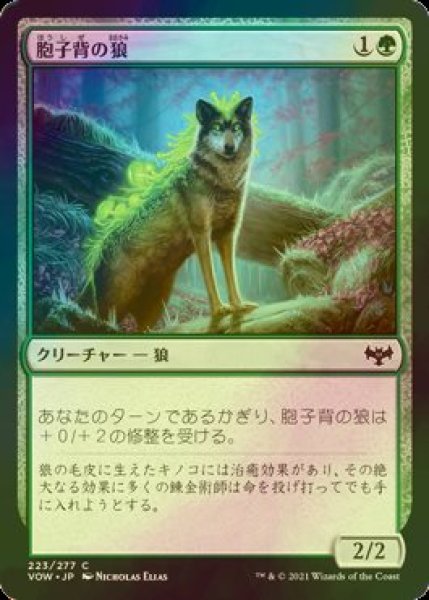 画像1: [FOIL] 胞子背の狼/Sporeback Wolf 【日本語版】 [VOW-緑C] (1)