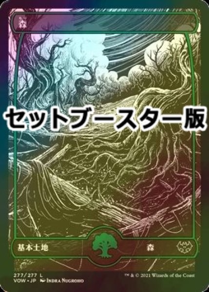 画像1: [FOIL] 森/Forest No.277 ● (日本産ブースター版) 【日本語版】 [VOW-土地C] (1)