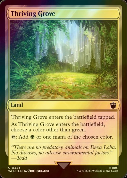 画像1: [FOIL] 興隆する木立/Thriving Grove No.325 【英語版】 [WHO-土地C] (1)