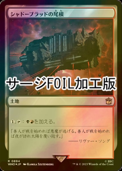 画像1: [FOIL] シャドーブラッドの尾根/Shadowblood Ridge No.894 (サージ仕様) 【日本語版】 [WHO-土地R] (1)