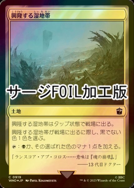 画像1: [FOIL] 興隆する湿地帯/Thriving Moor No.919 (サージ仕様) 【日本語版】 [WHO-土地C] (1)