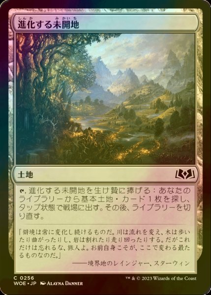 画像1: [FOIL] 進化する未開地/Evolving Wilds 【日本語版】 [WOE-土地C] (1)