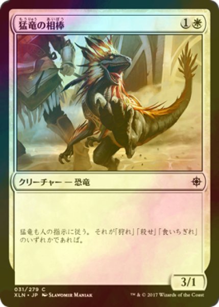 画像1: [FOIL] 猛竜の相棒/Raptor Companion 【日本語版】 [XLN-白C] (1)