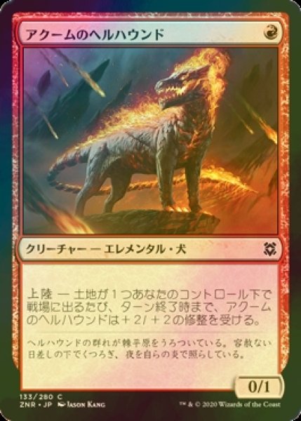 画像1: [FOIL] アクームのヘルハウンド/Akoum Hellhound 【日本語版】 [ZNR-赤C] (1)