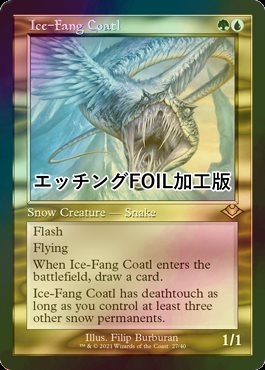 FOIL] 氷牙のコアトル/Ice-Fang Coatl (旧枠, エッチング仕様) 【英語