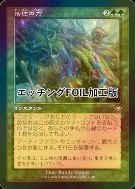 FOIL] 活性の力/Force of Vigor (旧枠, エッチング仕様) 【日本語版